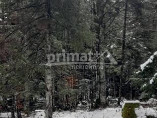 Poljoprivredno zemljiste, Prodaja, Ravna gora, Stari Laz
