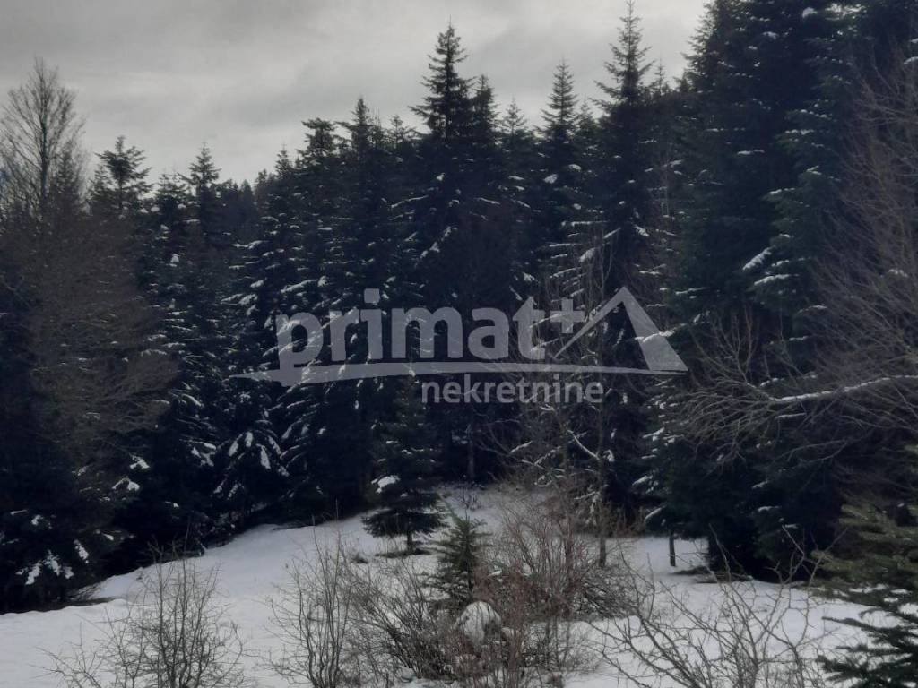 Poljoprivredno zemljiste, Prodaja, Ravna gora, Stari Laz