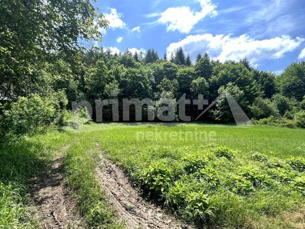 Rusevina, Prodaja, Plaski, Janja Gora