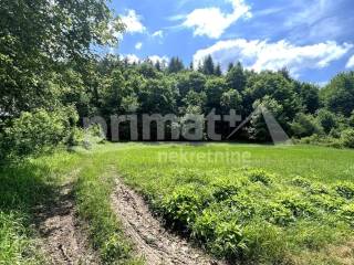 Rusevina, Prodaja, Plaski, Janja Gora