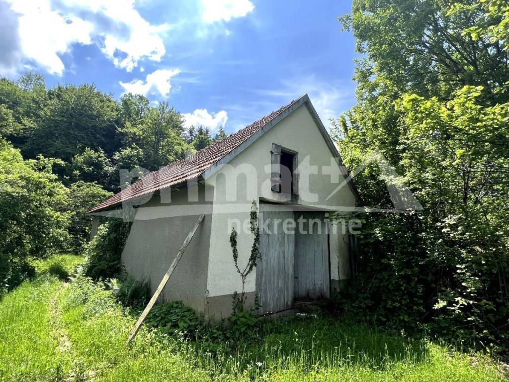 Rusevina, Prodaja, Plaski, Janja Gora