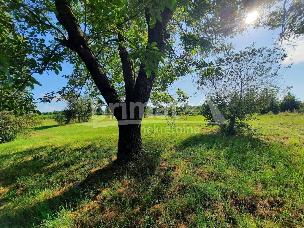 Drvena kuca, Prodaja, Josipdol, Josipdol