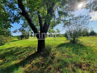 Drvena kuca, Prodaja, Josipdol, Josipdol