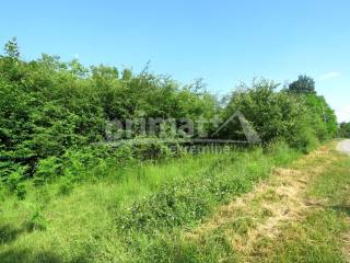 Gradjevinsko zemljiste, Prodaja, Tounj, Zdenac