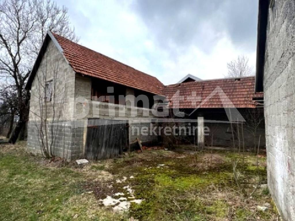 Obiteljska kuca, Prodaja, Plaski, Plaski