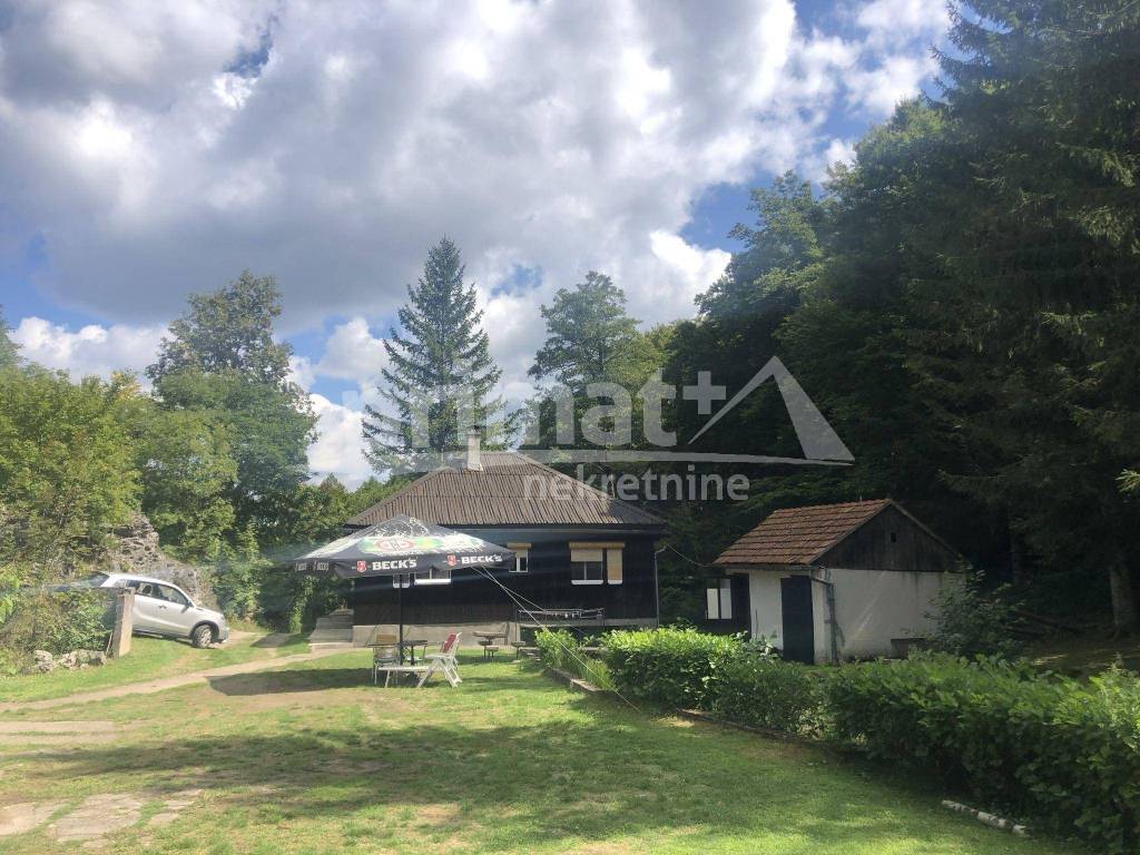 Kuca, Prodaja, Plaski, Plaski