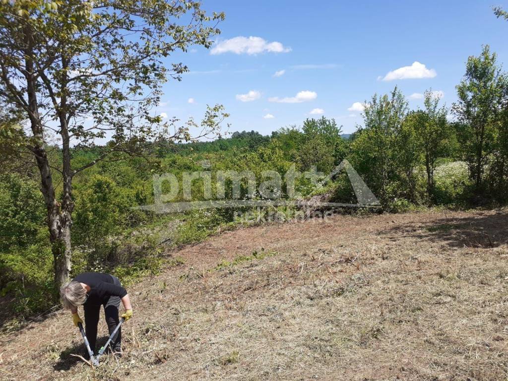Gradjevinsko zemljiste, Prodaja, Tounj, Rebrovici