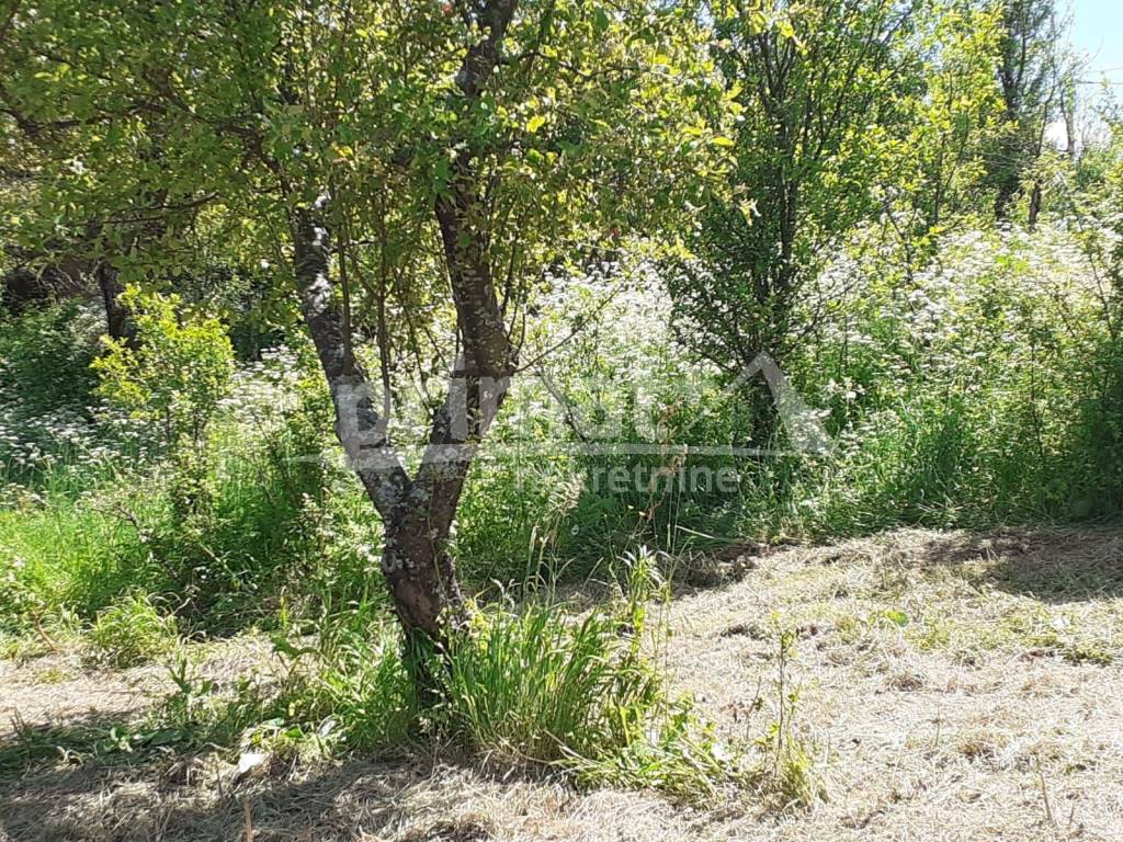 Gradjevinsko zemljiste, Prodaja, Tounj, Rebrovici