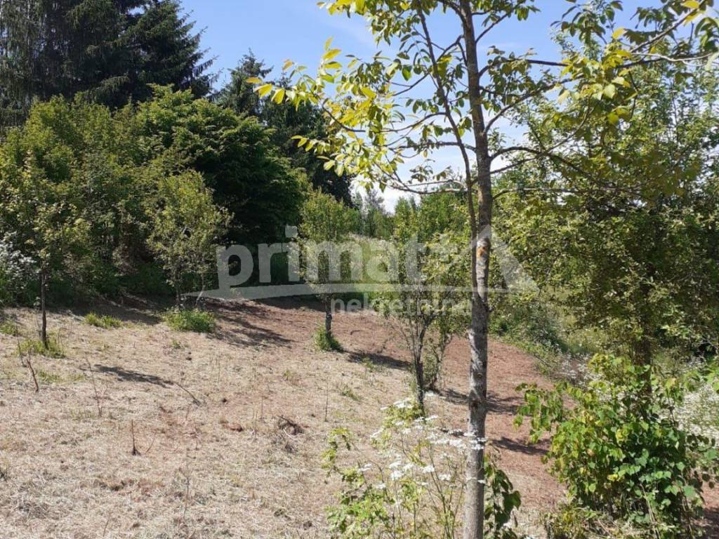 Gradjevinsko zemljiste, Prodaja, Tounj, Rebrovici