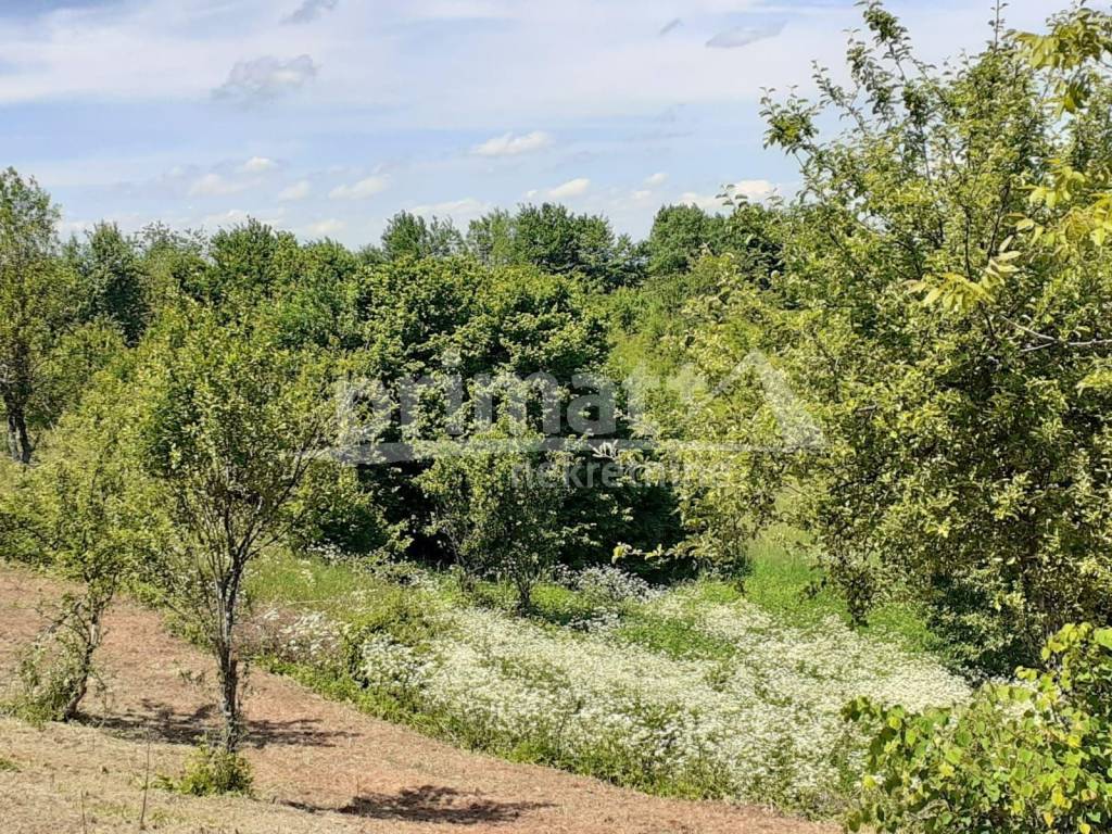 Gradjevinsko zemljiste, Prodaja, Tounj, Rebrovici