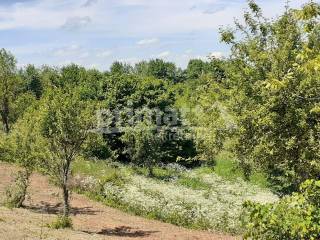 Gradjevinsko zemljiste, Prodaja, Tounj, Rebrovici