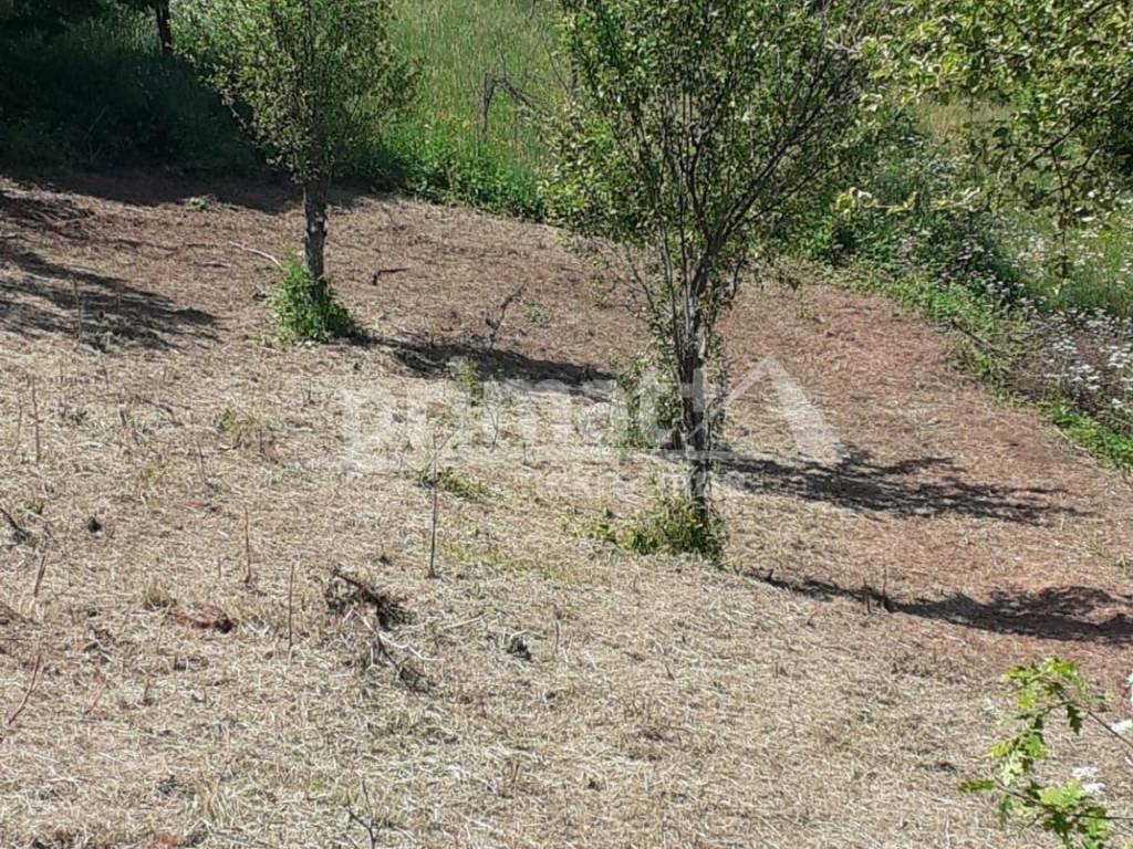 Gradjevinsko zemljiste, Prodaja, Tounj, Rebrovici