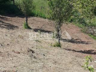 Gradjevinsko zemljiste, Prodaja, Tounj, Rebrovici