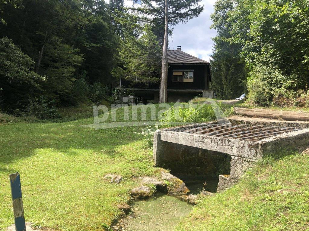 Kuca, Prodaja, Plaski, Plaski