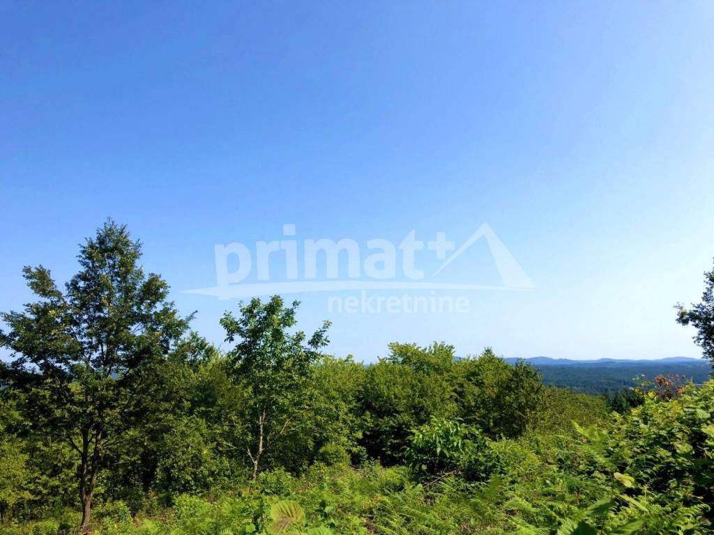 Poljoprivredno zemljiste, Prodaja, Ogulin, Popovo Selo