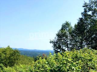 Poljoprivredno zemljiste, Prodaja, Ogulin, Popovo Selo