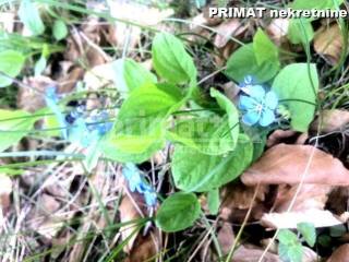 Poljoprivredno zemljiste, Prodaja, Saborsko, Blata