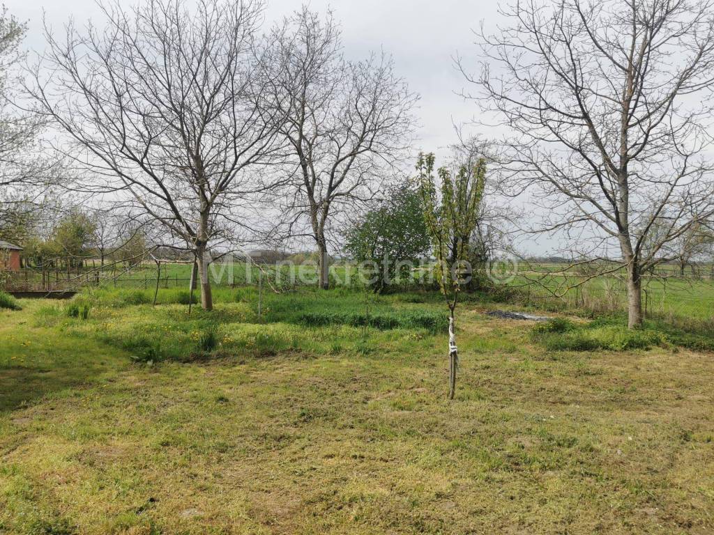 Kuca prizemnica, Prodaja, Velika Pisanica, Velika Pisanica