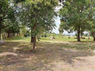 Samostojeca kuca, Prodaja, Vrbovec, Lonjica