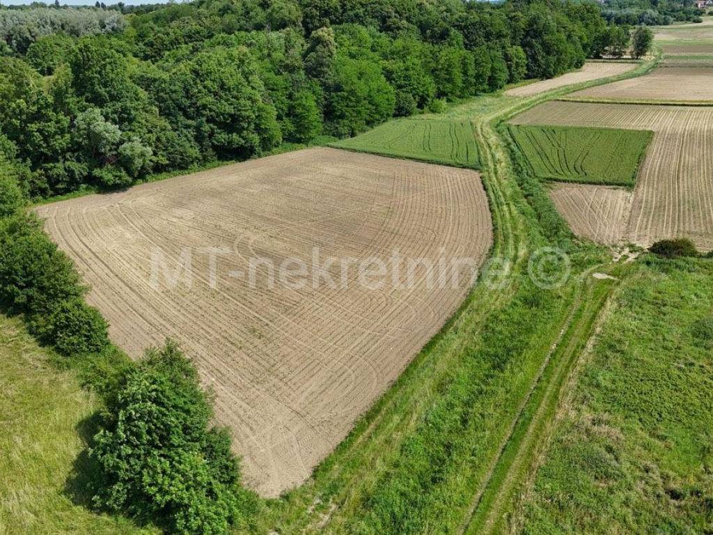 Poljoprivredno zemljiste, Prodaja, Bjelovar - Okolica, Gornje Plavnice