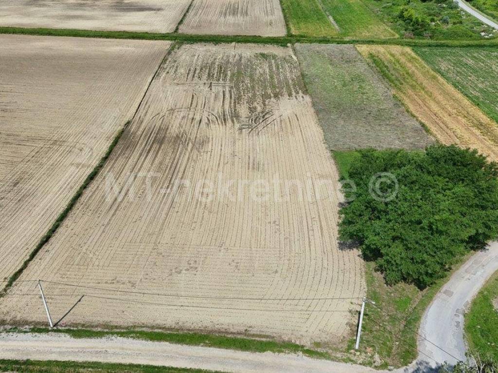 Poljoprivredno zemljiste, Prodaja, Bjelovar - Okolica, Gornje Plavnice