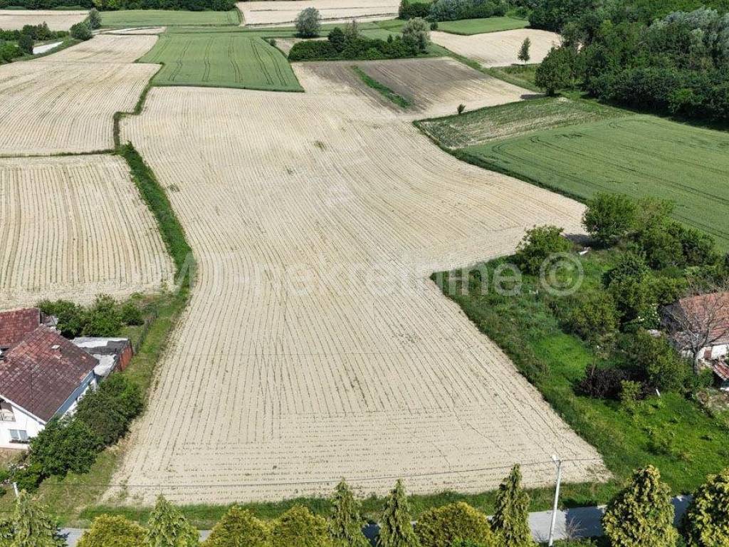 Poljoprivredno zemljiste, Prodaja, Bjelovar - Okolica, Gornje Plavnice