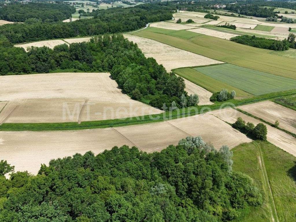Poljoprivredno zemljiste, Prodaja, Bjelovar - Okolica, Gornje Plavnice