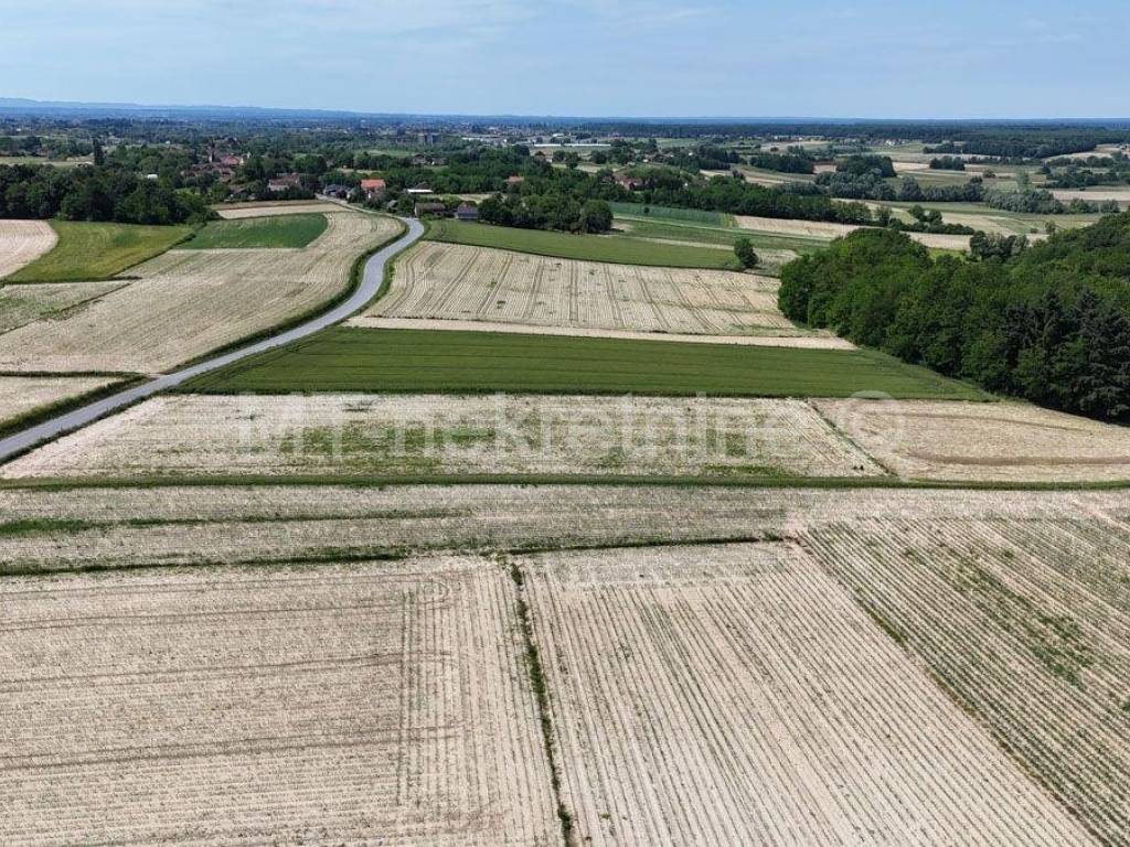 Poljoprivredno zemljiste, Prodaja, Bjelovar - Okolica, Gornje Plavnice