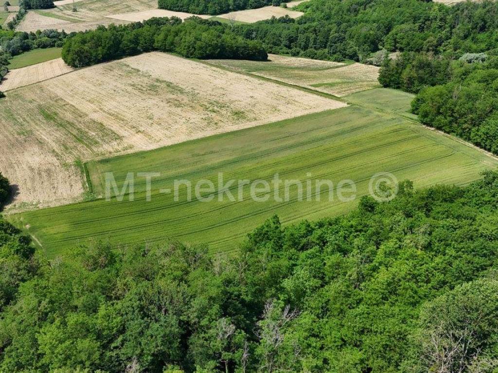 Poljoprivredno zemljiste, Prodaja, Bjelovar - Okolica, Gornje Plavnice