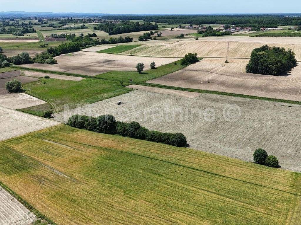 Poljoprivredno zemljiste, Prodaja, Bjelovar - Okolica, Gornje Plavnice