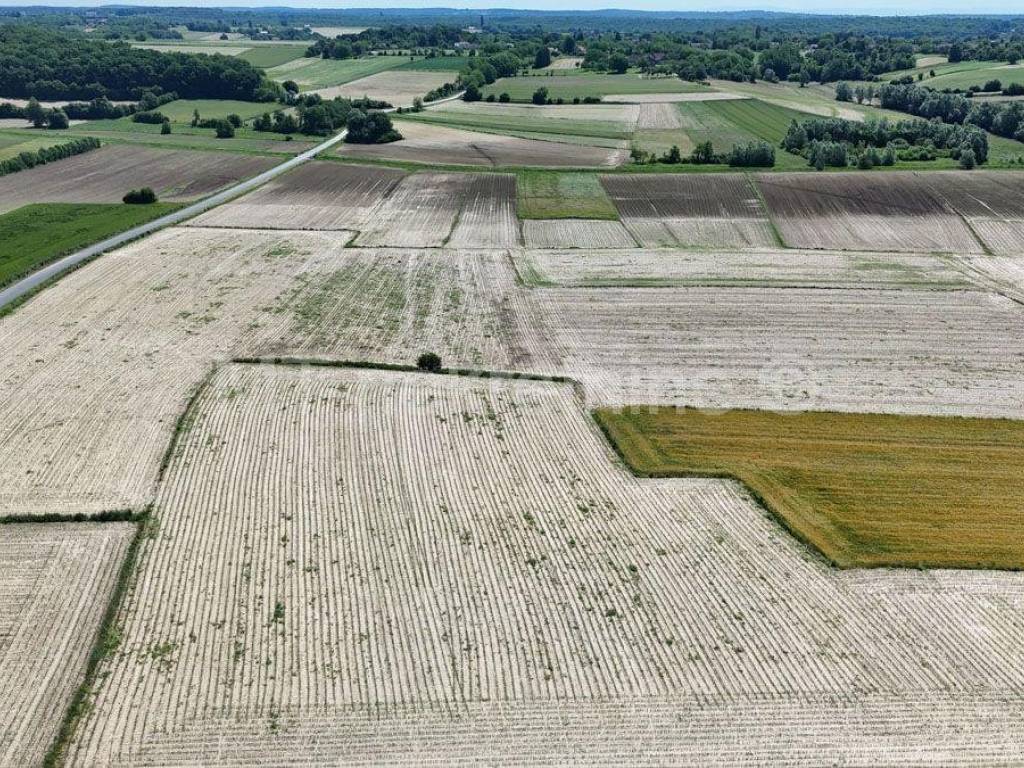 Poljoprivredno zemljiste, Prodaja, Bjelovar - Okolica, Gornje Plavnice