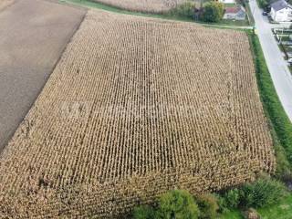 Gradjevinsko zemljiste, Prodaja, Bjelovar, Bjelovar