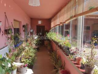 Obiteljska kuca, Prodaja, Kapela, Jabuceta