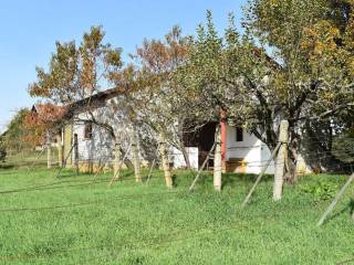 Vikend kuca, Prodaja, Kapela, Jabuceta