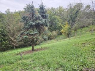 Vikend kuca, Prodaja, Cazma, Bojana