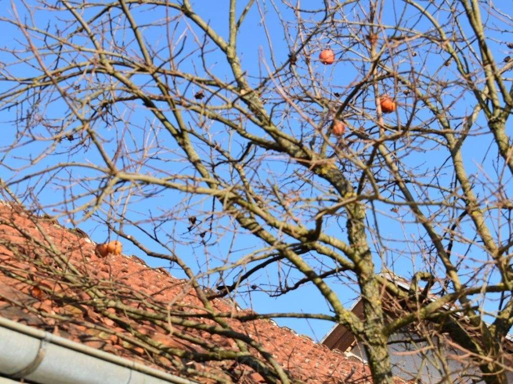 Stambeno poslovni objekt, Prodaja, Bjelovar - Okolica, Prespa