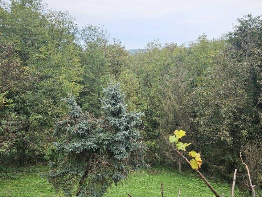 Vikend kuca, Prodaja, Cazma, Bojana