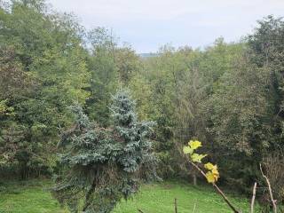 Vikend kuca, Prodaja, Cazma, Bojana