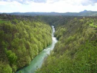 suma, Prodaja, Josipdol, Munjava