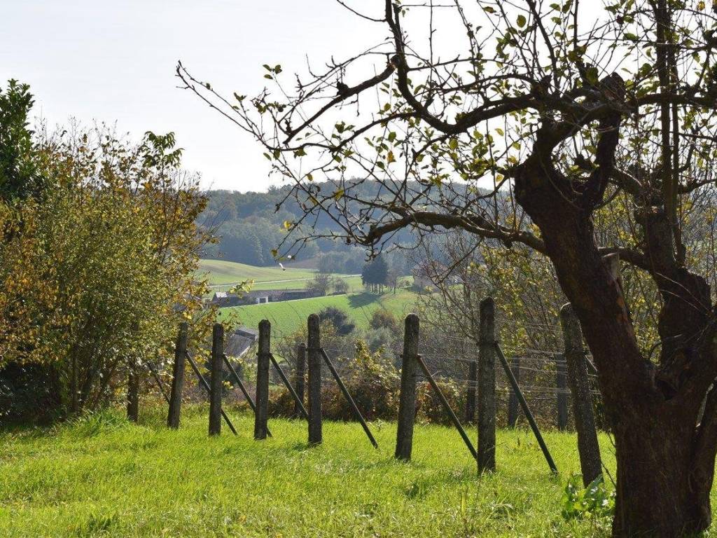 Vikend kuca, Prodaja, Kapela, Jabuceta
