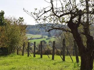 Vikend kuca, Prodaja, Kapela, Jabuceta