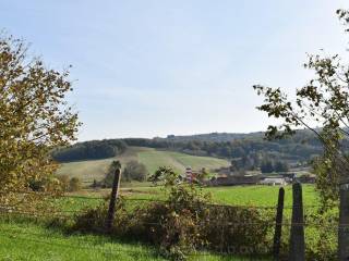 Vikend kuca, Prodaja, Kapela, Jabuceta