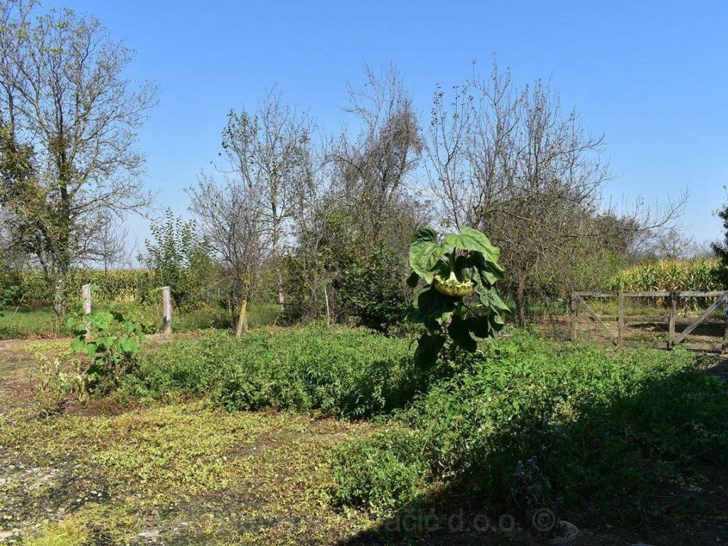 Samostojeca kuca, Prodaja, Stefanje, Narta