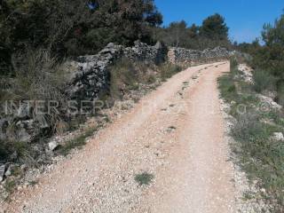 Poljoprivredno zemljište, Prodaja, Šibenik - Okolica, Bilice