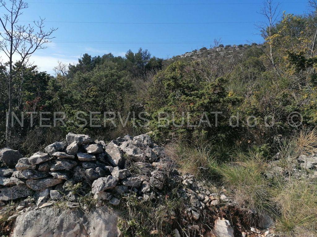 Poljoprivredno zemljište, Prodaja, Šibenik - Okolica, Bilice