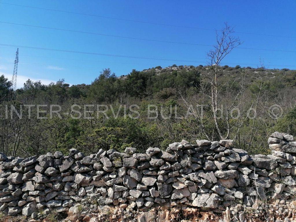 Poljoprivredno zemljište, Prodaja, Šibenik - Okolica, Bilice