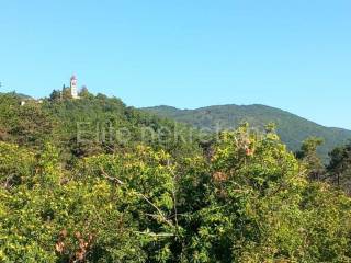 Samostojeća kuća, Prodaja, Opatija - Okolica, Veprinac