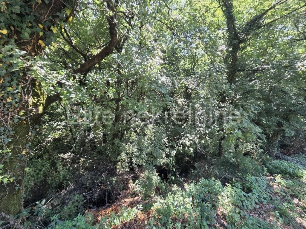 Građevinsko zemljište, Prodaja, Čavle, Čavle