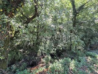 Građevinsko zemljište, Prodaja, Čavle, Čavle