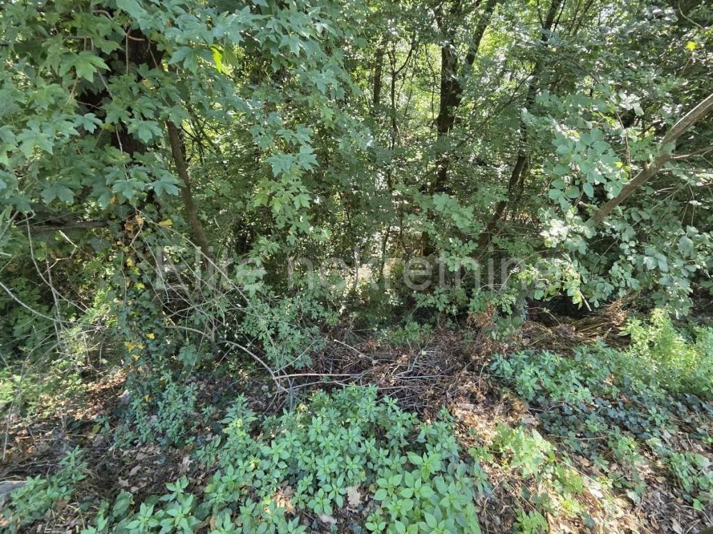 Građevinsko zemljište, Prodaja, Čavle, Čavle